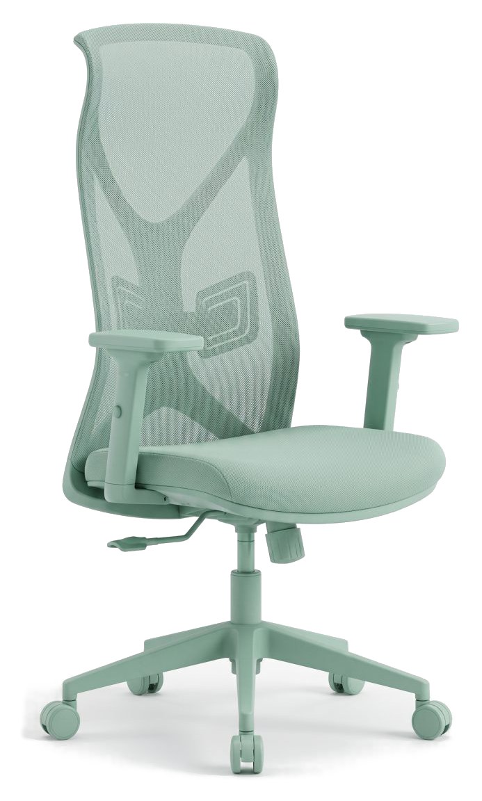 Sitwell Flex 5001｜藍